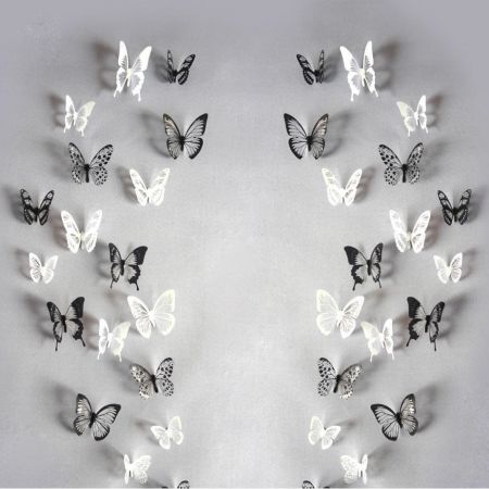 everythink.gr –Αυτοκόλλητα πεταλούδες